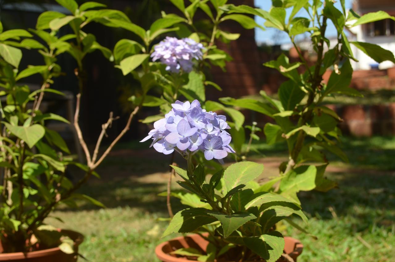 Kaular Atithis Grand Kokan Resort Ganpatipule Luaran gambar
